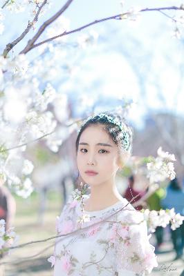 《野花香》电视剧完整版高清在哪看？1080P画质超震撼！